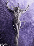 pic for Tangled Web